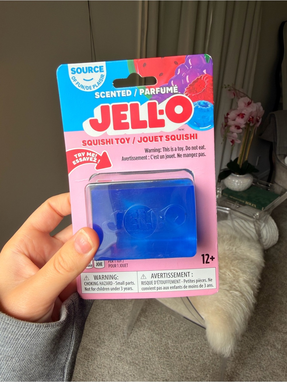 Blue Scented Squishy Toy - JELLO SCENTED SQUISHY